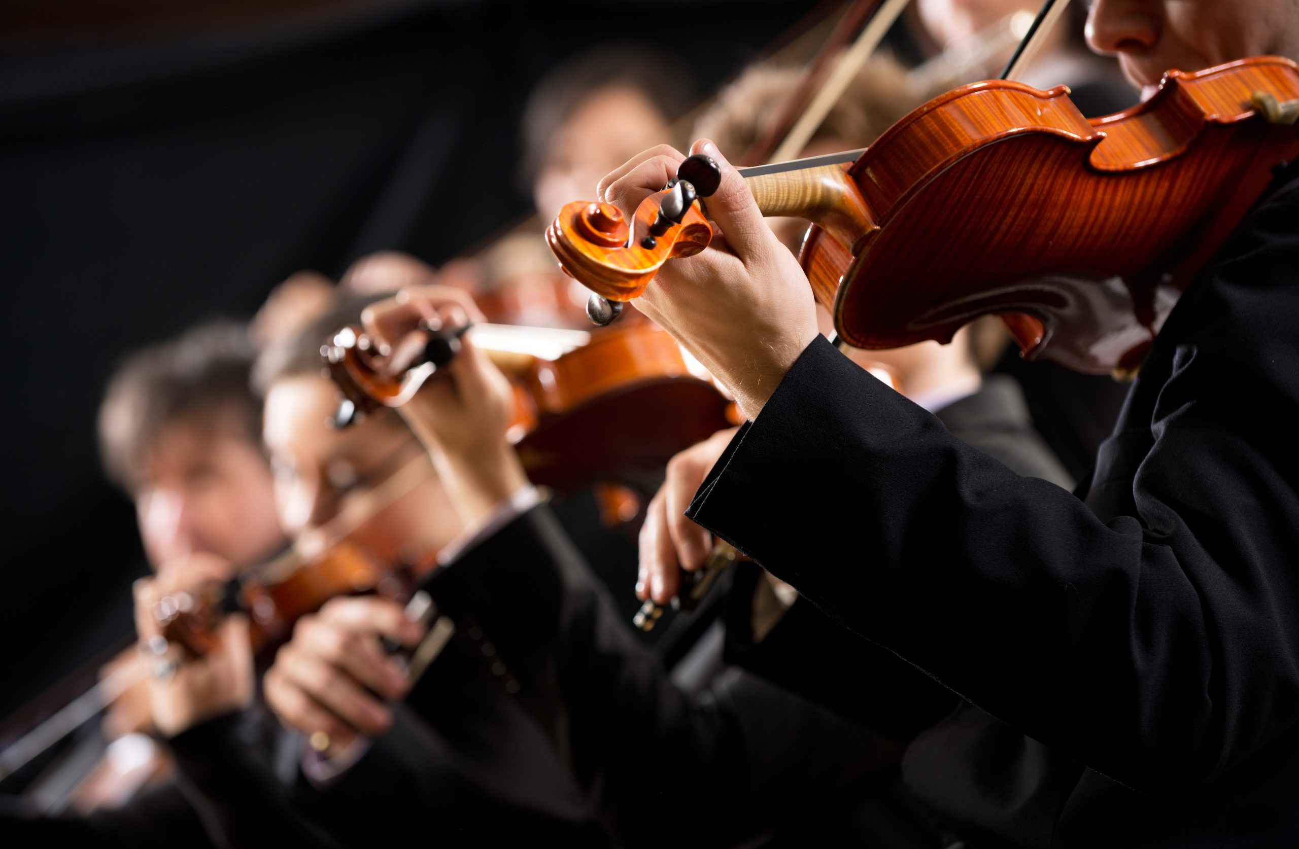 Symphony,Orchestra,First,Violin,Section,Performing,On,Dark,Background.