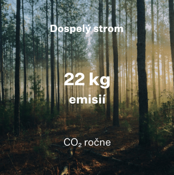 Dospelý strom